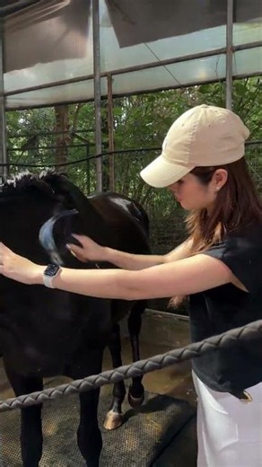 Reviving Novice Equestrian Skills: Horse Bathing Basics HorsebackRidingPractice Novice