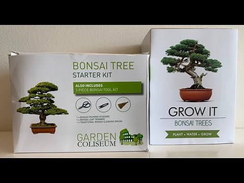 Grow It and Garden Coliseum Bonsai Grow Kits plus Instructions