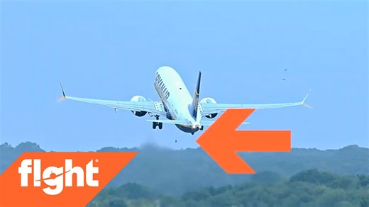 Airplane Experiences Bird Strike During Approach