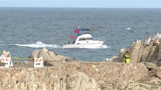 Search suspended for missing swimmer after reported Lovers Point shark attack
