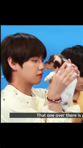 When a cute puppy Sacred Of Taehyung 😂😂 #shorts #bts#v#dog#funny #shortsfeed #attitude #fyp#explore