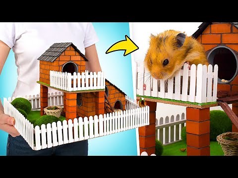 ハムスターのためにレンガでミニチュアの遊び場をDIYしよう！🧱🐹❤️