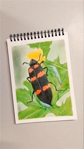 HOW?! 😮 Hyperrealism Insect Drawing Reveal #shorts