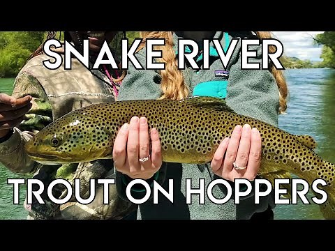 Epic Snake River Hopper Fishing