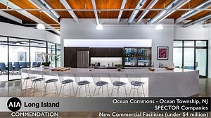 2024 AIA Long Island Chapter Archi Awards Our presentation and dinner was held in November 2024 and this presentation highlights all of our winning designs. We will begin posting all of the entries including the winners on our social pages. Congratulations to all of the winning entries. #AIA #AIALongIsland #architects #whatanarchitectdoes #archilover #design #photooftheday #designexcellence #2024archiawards | AIA Long Island