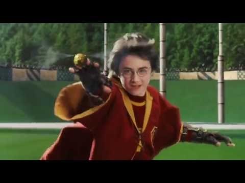 Harry Potter In 99 Seconds Video Edit (Paint)