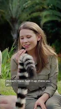 Join Bindi Irwin on an ASMR journey around Australia Zoo! First stop, lemurs 🥕