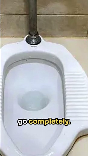 Why the Modern Toilet Might Be Messing with Your Poop