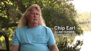 Clam Farming at Alligator Harbor - WFSU Local Routes