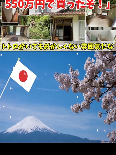 海外の反応日本家屋は美しいなジブリ作品に出てくる田舎のような家を買った外国人が海外で話題に