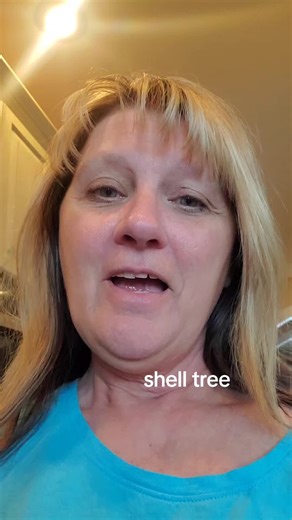 I made a shell tree with my sanibel island, Florida shells ....as well as a few more I had around my house #shelltree #sanibelislandflorida #shelldecor #shelldesign