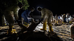 State kills hundreds of deer at North Texas ranch, after years of legal fights