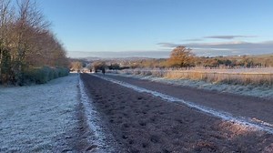 15K reactions · 612 shares | Those little kicks 殺 The Venetia Williams string are watched over by a very eager junior assistant!  Venetia Williams | Great British Racing | Facebook