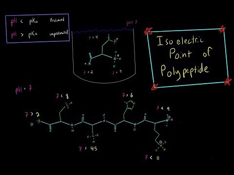 Determine the Isoelectric Point of a Polypeptide using simple trick Biochemistry MCAT (Part 2)
