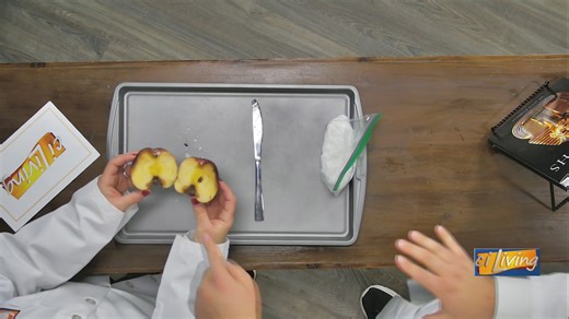 Inside the Ancient Art of Mummification