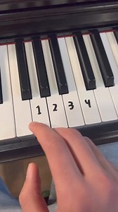 91K views · 1.9K reactions | Shape of you ❤️ #piano #edsheeran #pianolessons #tutorial #pianomusic | Keys Tutorials | Facebook