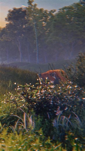 The future can feel better. | Mozilla