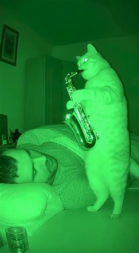 wiskers suona il sax la vendetta