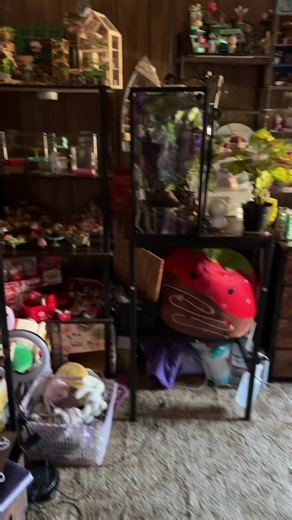 #minaturecollection #minatures