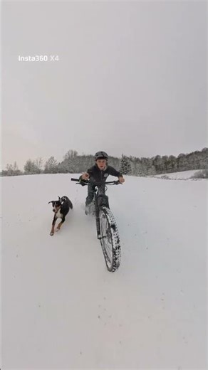 Snowride #snow #bike #freestyle #freeride #downhill #bikelife #mtb #mountainbike #dog #enjoy