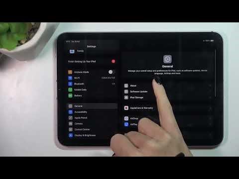How to Check iPadOS Version on iPad Mini (2024)?