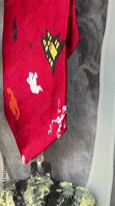 Halloween decorations at home Witches hung on the porch Introducing Pumpkin Skeletons, Bones and Hanged Men Canada Vancouver Private Halloween Celebrations scary frightening Homemade dolls hang around