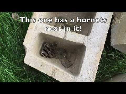 How to Build a Retaining wall (and why they Fail)