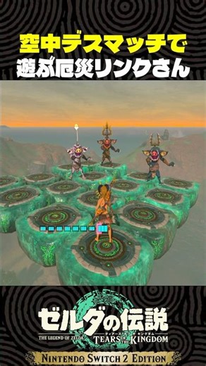 空中デスマッチで遊ぶ厄災リンクさん【ゼルダの伝説 ティアキン】