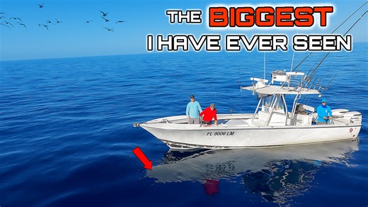 8.2K views · 60 reactions | We took a 32-foot boat 40 miles offshore...