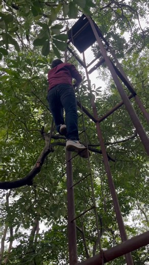 Rohit Kumar on Instagram: "Rust,dust and abandoned watchtower! #forest #watchtower #explore #whynotus #nature #wild"