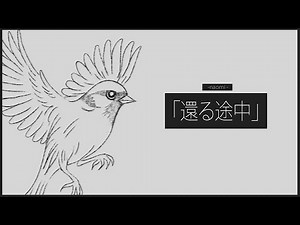還る途中 | Homebound | Naomi (Lyrics Video)