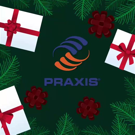 Feliz Navidad a nuestra gran familia PRAXIS a nivel global.🎄✨ Que esta Navidad sea un respiro, un abrazo largo y un momento para agradecer. Que el amor, la unión y la alegría acompañen cada uno de sus hogares | Praxis Iberoamérica