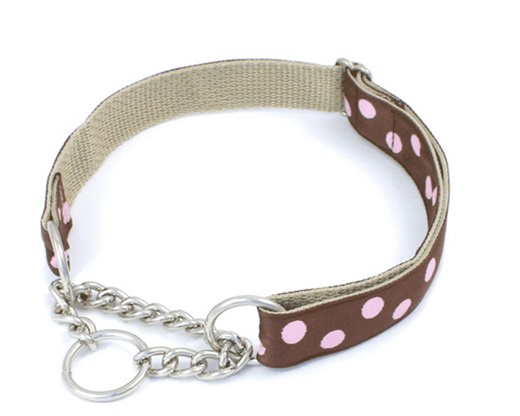 Dog Training Tools: The Martingale Collar