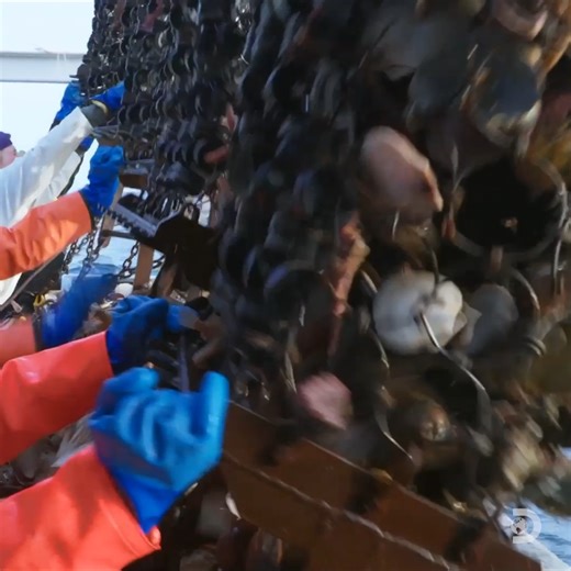 Fishing season has officially begun. Will these captains score big? #TheLastCaptains starts NOW on Discovery. | Discovery