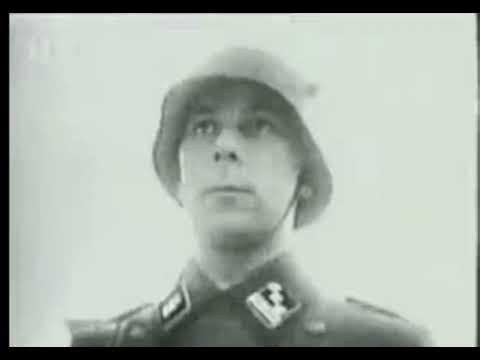 Leibstandarte-SS Inspection (1936)