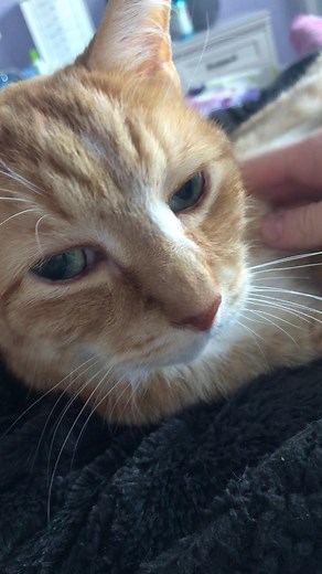 his angry side eye speaks louder than his squeaks