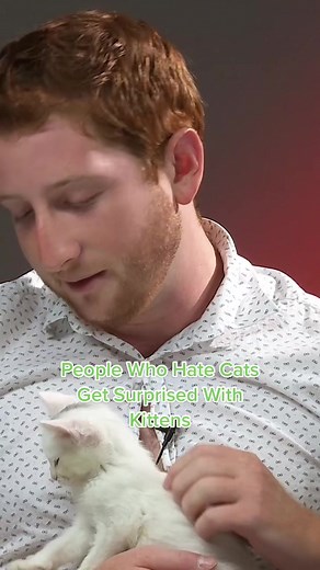 People Who Hate Cats Get Surprised With Kittens