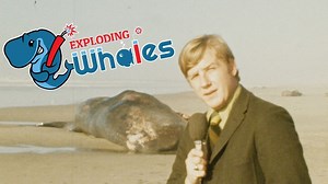 Eugene Emeralds whale-y creative 'Exploding Whale' merch featured on 'Last Week Tonight'