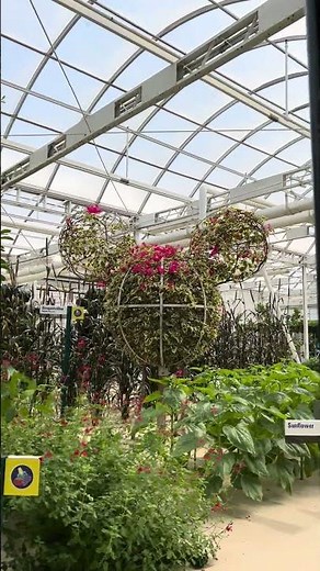 LIVING WITH THE LAND RIDE AT EPCOT | Walt Disney World in Orlando, Florida