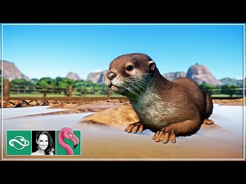 Building a HUGE Otter & Tapir Habitat in Planet Zoo Franchise Mode