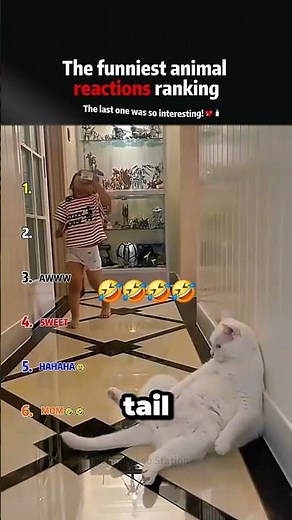 Top LOL Clips—I’m Actually Wheezing 😂 #funny #lol #shorts #viral