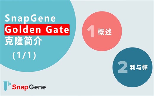 SnapGene Golden Gate克隆简介