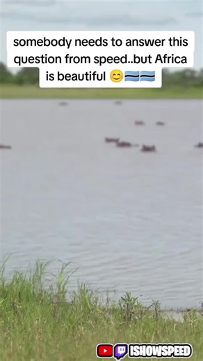 IShowSpeed's Cultural Experiences in Africa