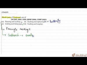 Mouth parts of cockroach are of | 11 | ANIMAL KINGDOM | BIOLOGY | ERRORLESS | Doubtnut