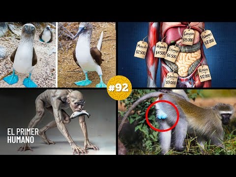 🧠 20 FUN FACTS you DIDN'T know 5 minutes ago! 😱 #92