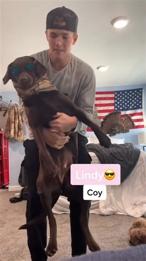 Pass the chocolate lab | Maximus2themax