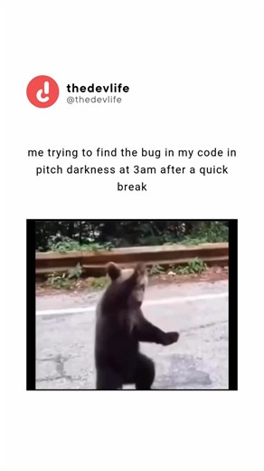 thedevlife on Instagram: "me trying to find the bug in my code in pitch darkness at 3am after a quick break . Follow @‌thedevlife for more content like this . Credit :- @‌jessandquinn #thedevlife #code #learnprogramming #programinglife #softwareengineers #programmings #codehumor"