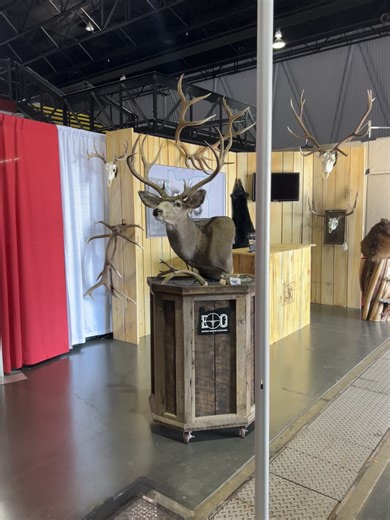 Got the booth set up at Sacramento for the next 4 days!