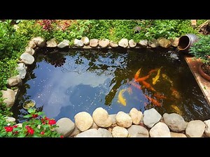 Cách xây hồ cá koi mini ngoài trời phần 2 ⛰ How to Build a koi Pond part 2 🐬 Koi Fish Pond Ideas