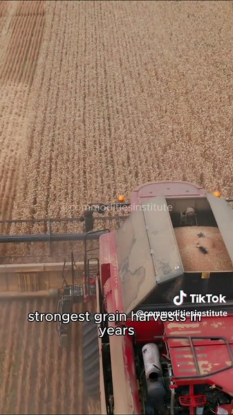 Transformations in Commodity Markets You Need to Know